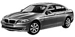 BMW F10 P065C Fault Code